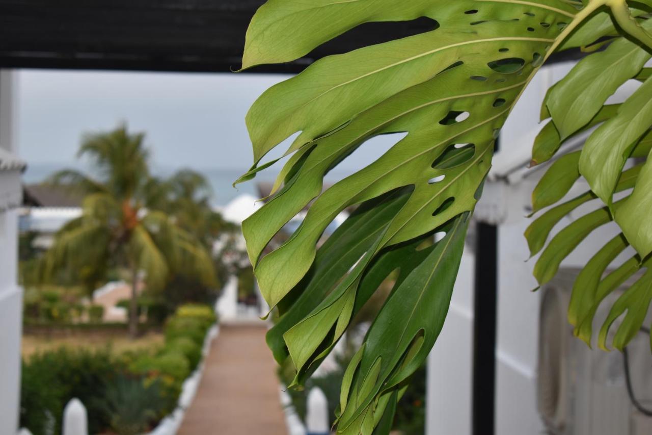 Kendwa Beach Resort Exterior photo